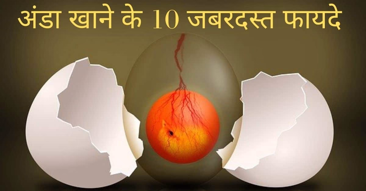 अंडा खाने के 10 जबरदस्त फायदे | Ande (Eggs) Khane Ke Fayde Top 10 benefits of eating eggs hindi