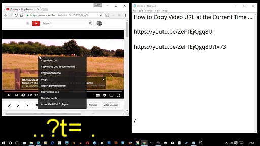Paste the Video URL