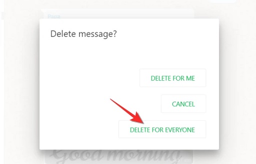 Delete For Everyone Option