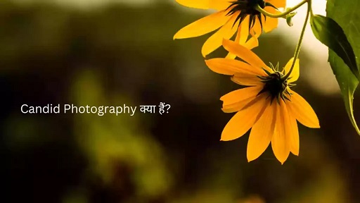 अपनी असलीता बनाए रखें