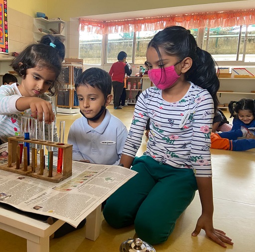 विद्या निकेतन स्कूल