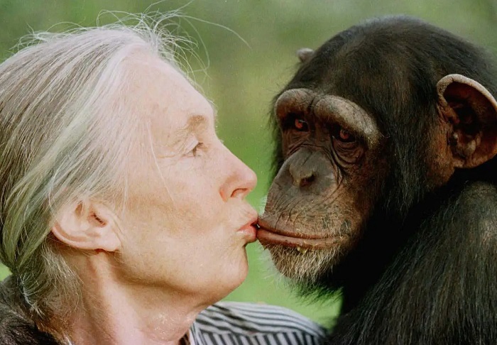 Humans Share 60 of Their DNA with Bananas