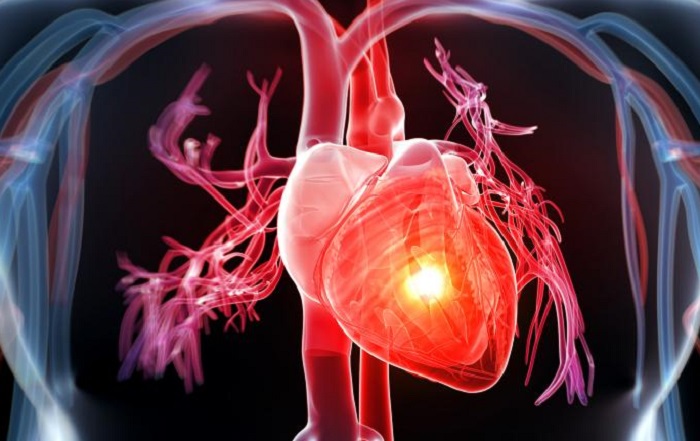 Improves Cardiovascular Health