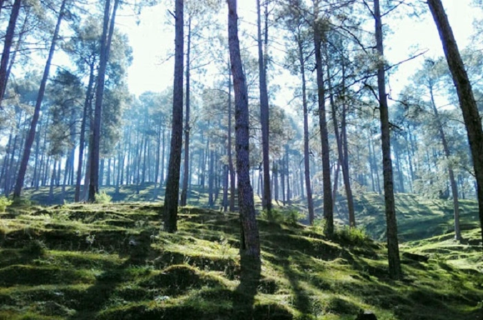 Pangot and Kilbury Bird Sanctuary