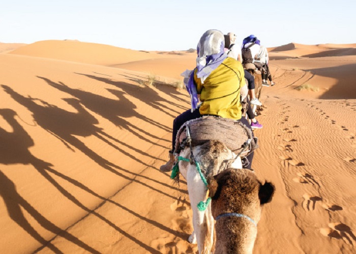 The Sahara Desert Used to Be a Lush Green Oasis