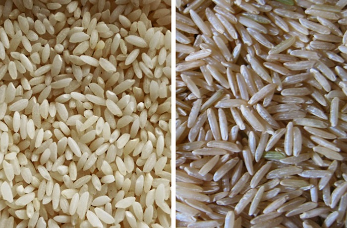 6. Pusa RH 10 – Best Hybrid for Basmati Rice