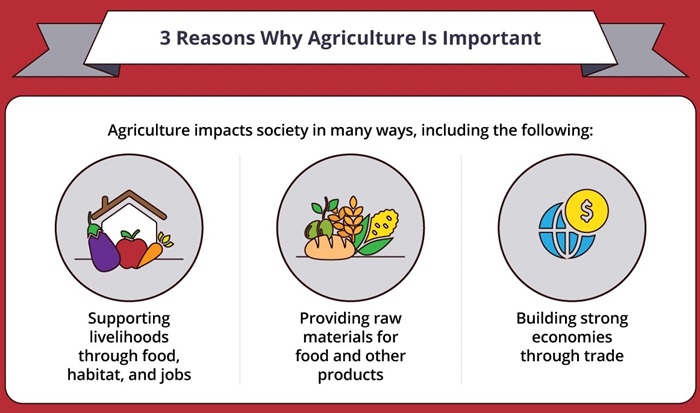 Limited Benefits for the Agricultural Sector