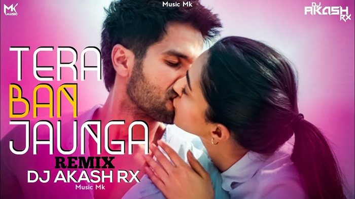 Tera Ban Jaunga Remix – Kabir Singh