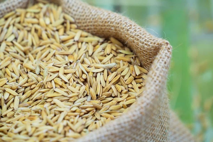 Top 10 Hybrid Paddy Seeds in India for High Yield and Disease Resistance Top 10 Hybrid Paddy Seeds in India for High Yield and Disease Resistance 1