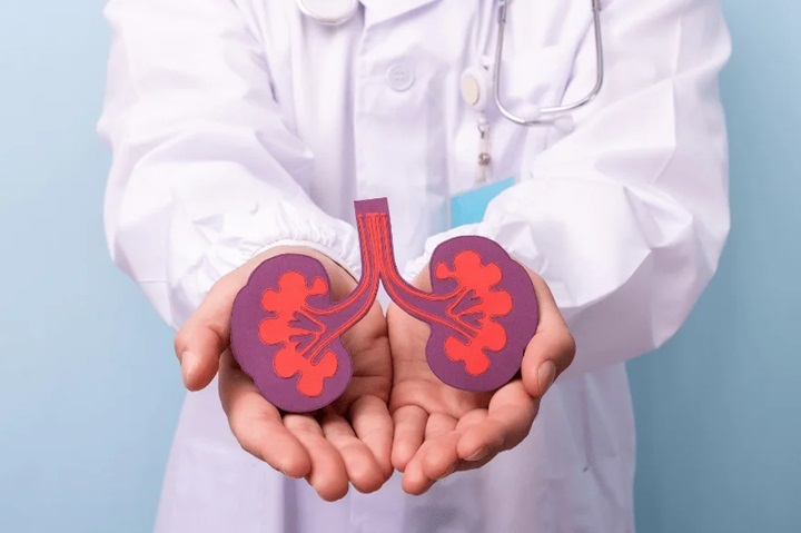 Trusted Hands: Top 10 Urologists in Guwahati for Expert Urological Care Urology min